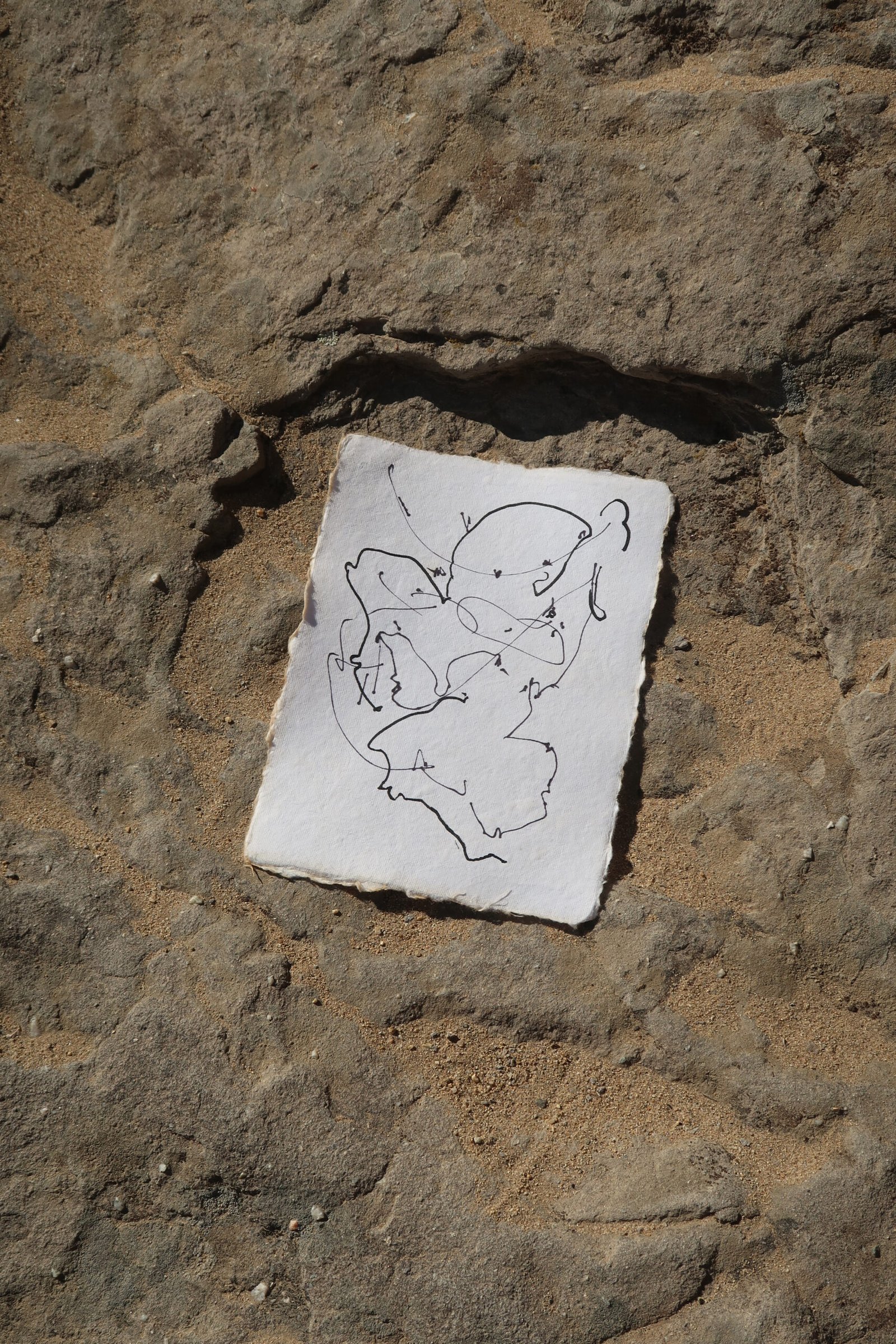 Artist Book